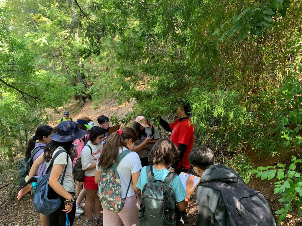 5° básicos del Thomas Jefferson STEM School viven provechosa experiencia de “Los Pellines” en Chillán